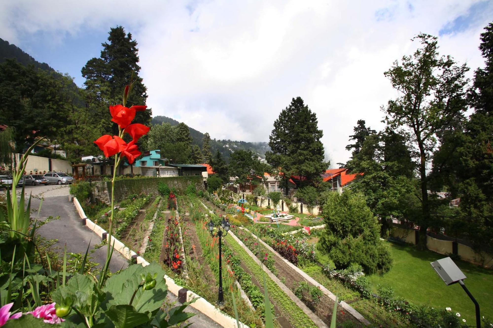 Shervani Hilltop Resort Nainital Luaran gambar